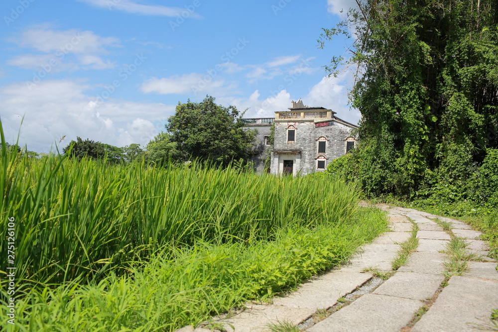 traditional chinese garden design in small village: green field with the curves road to the house. rural landscape around at Kaiping Diaolou site or watchtower site,  unesco world heritage site area