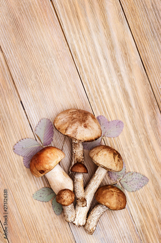 Edible cep mushrooms (leccinum) close up on wooden rustic background with copy space. Vegetarian food. Healthy organic product. Top view.