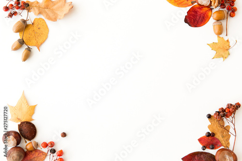 nature, season and botany concept - frame of different dry fallen autumn leaves, chestnuts, acorns and berries on white background