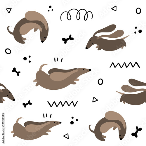 Vector seamless pattern with cute cartoon dachshunds. Flat, Doodle, character.