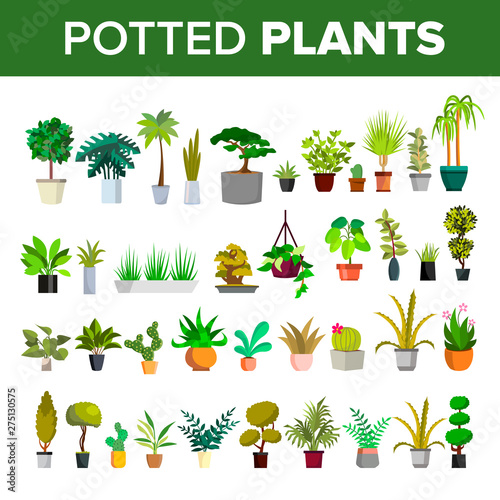 Wallpaper Mural Floral Green Home Decorative Houseplant Set Vector. Different Collection Of Potted Plants Tree, Cactus And Flower, Blooming Houseplant. Exotic Botanical Nature Flat Cartoon Illustration Torontodigital.ca