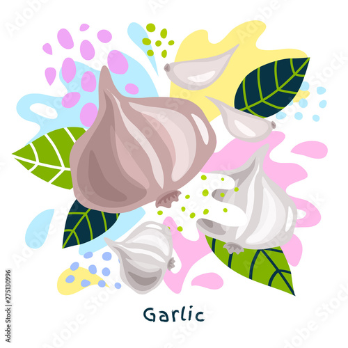 Fresh garlic vegetable juice splash organic food juicy vegetables splatter on abstract coloful splatter splash background vector hand drawn illustrations
