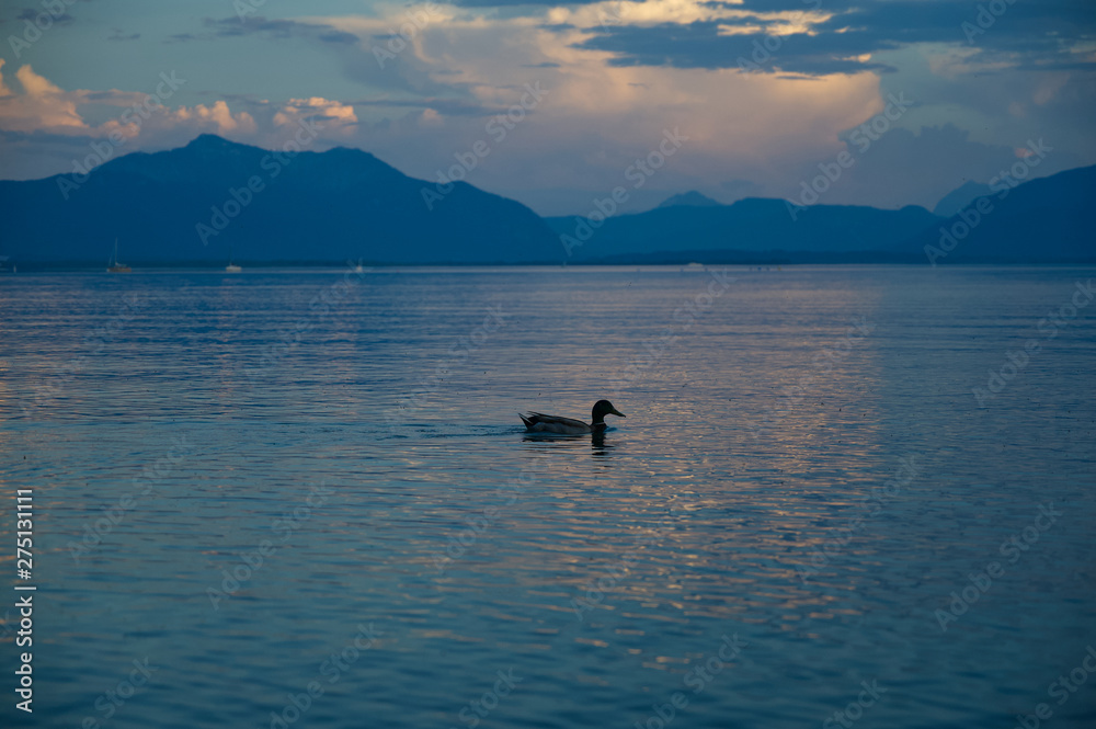 Blaue Stunde am Chiemsee