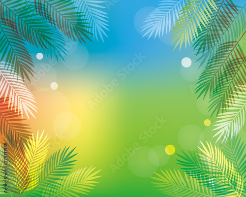 background of Palm leaves