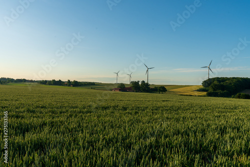 Windkraftanlage mit Getreidefeld bei Sonnenuntergang