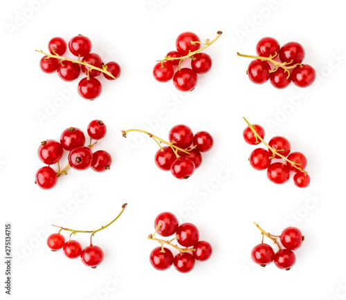 Fotografie Set of branches of red currants on white background, isolated