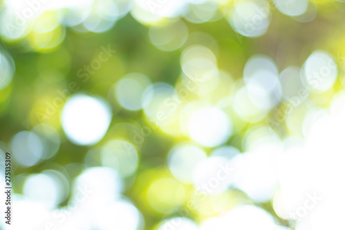 Blur natural green leaves bokeh background