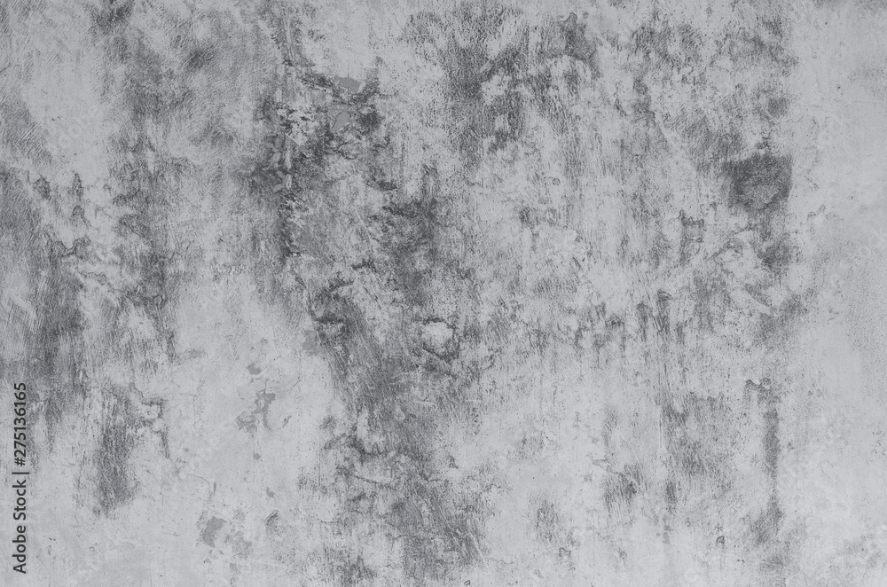 Fototapeta premium gray concrete background texture clean stucco fine grain cement wall clear and smooth white polished grunge interior indoor.