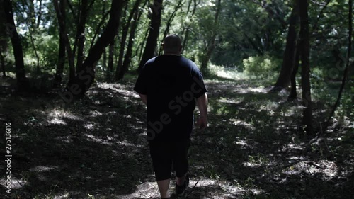 Wallpaper Mural A man walking through forest trees. Tree shadows fall on him and sunlight shines through. Slowmotion clip. Torontodigital.ca