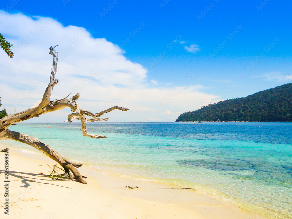 Beautiful Beach Sandy and Clear Sea with Luxury Scuba Diving and Snorkel in Island of Tropical on Holiday Summer or Spring Times. Travel The Paradise of Thailand.