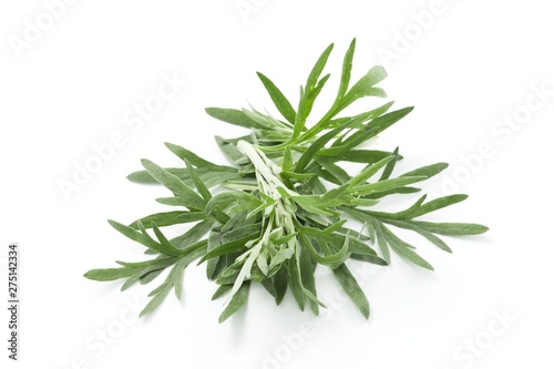 Artemisia absinthium, absinth