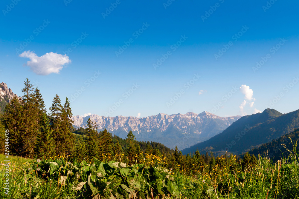 Fototapeta premium The Pale of San Martino group