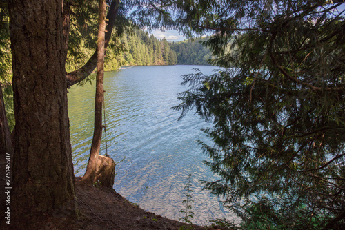 Merwin lake in Washington state photo