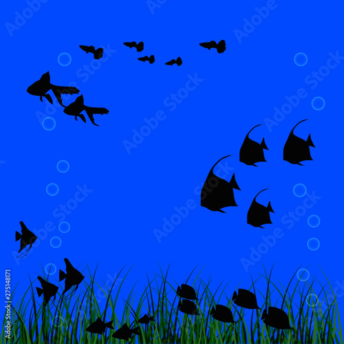 silhouettes of fish on a blue background, the look of an aquarium