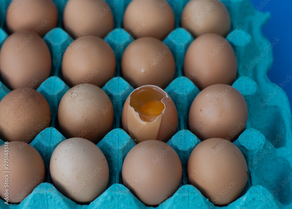 Fresh brown chicken eggs in a protective blue box, chicken feather on top of the egg. Local organic products. Fresh brown chicken eggs in a protective blue box, chicken feather on top of the egg. Local organic products.