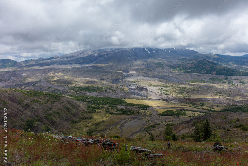 Fototapeta premium Mt St. Helens