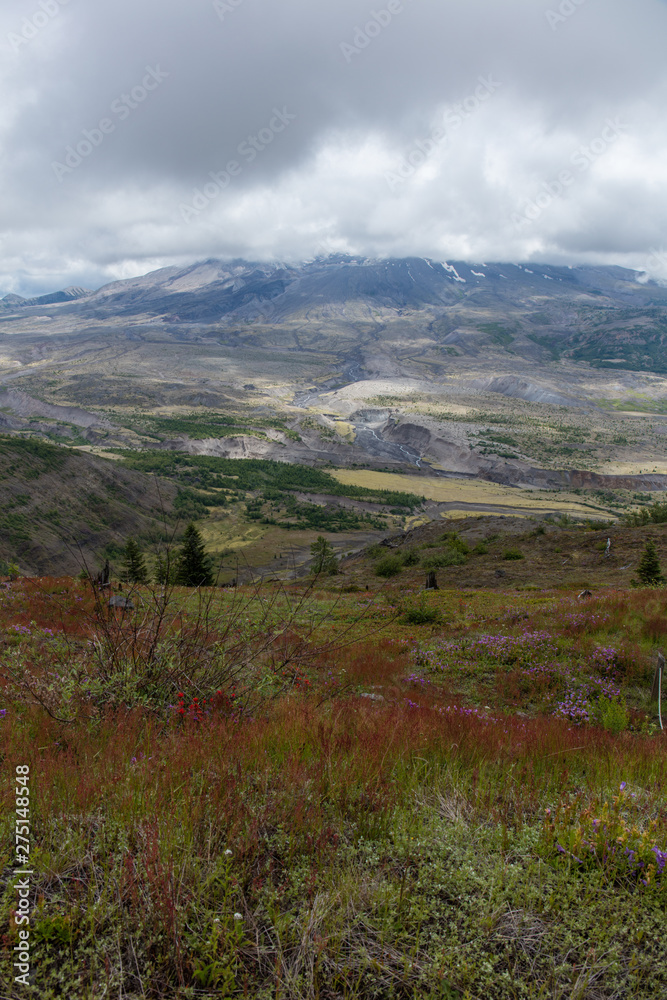 Obraz premium Mt St. Helens