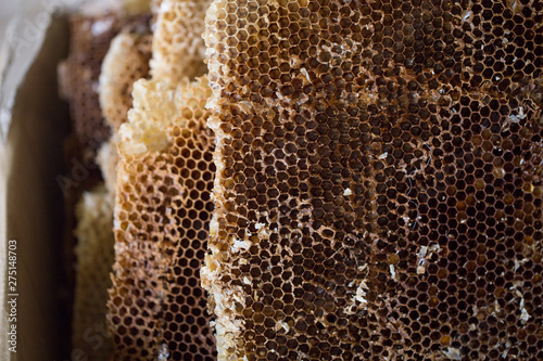 Obraz na płótnie Natural bee Wax from honeycombs. Honeycombs after filtration. Honey harvesting and beekeeping w salonie
