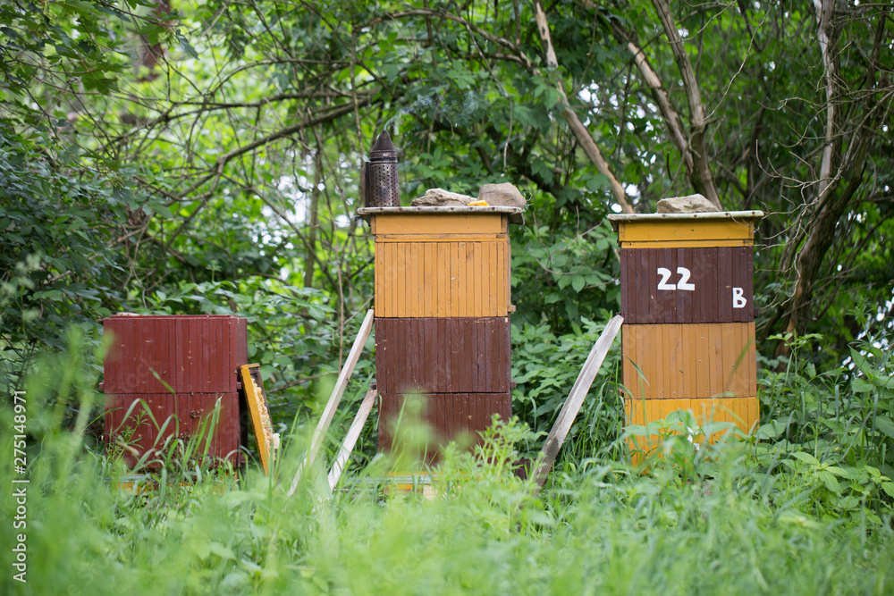beehive, bees entering the hive. Beekeeping and honey collection