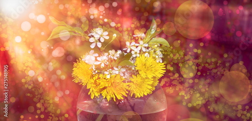 Floral background. yellow dandelions white cherry  beautiful blurred sunset background sun rays