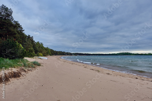 dark clouds at the beach and forest behind the beach