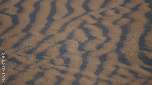 Sable bercé par le vent photo