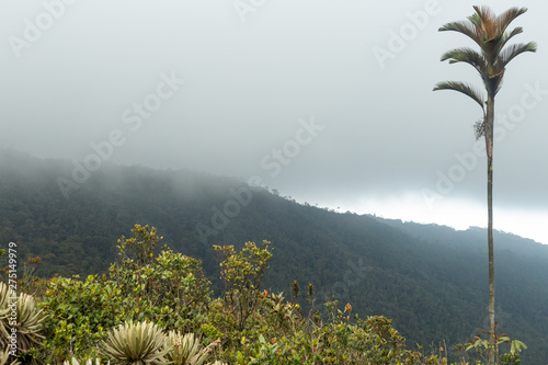 Paramo Santa Ines photo