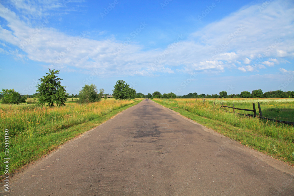 The rural or country road in the village. Summertime in the countryside. Ukrainian rural motive