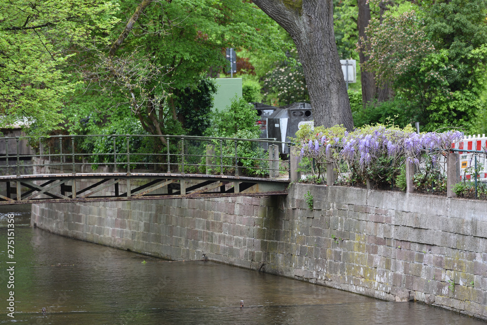 Naklejka premium Beautiful river Ooc in Baden-Baden and the bridge over it, a large tree and flowers of wisteria