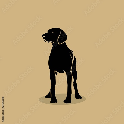 German shorthaired pointer - isolated vector illustration