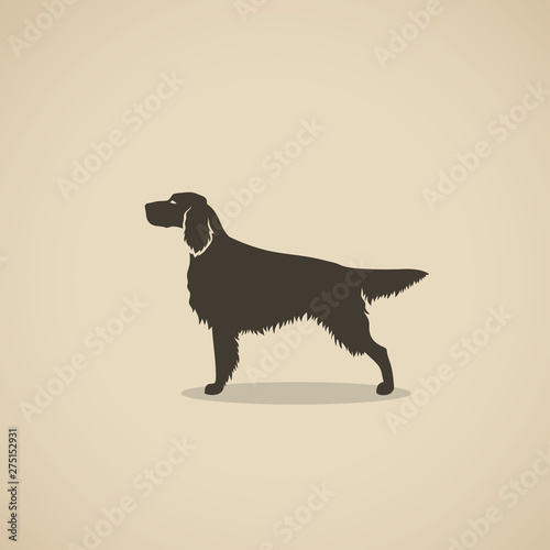 Setter dog - silhouette of the Irish or England setter - vector illustration