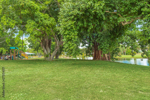 The tropical public park remains green throughout the year in Florida. The large rooted banyan trees provide shade in the hot summer months.