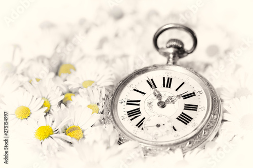 pocket watch in a beautiful romantic flowers