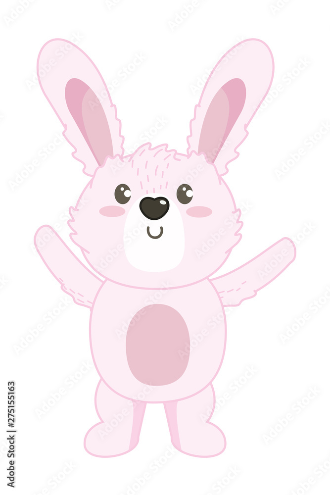 Isolated rabbit cartoon design vector illustrator Isolated rabbit cartoon design vector illustrator