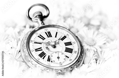pocket watch in a beautiful romantic flowers, monochrome version