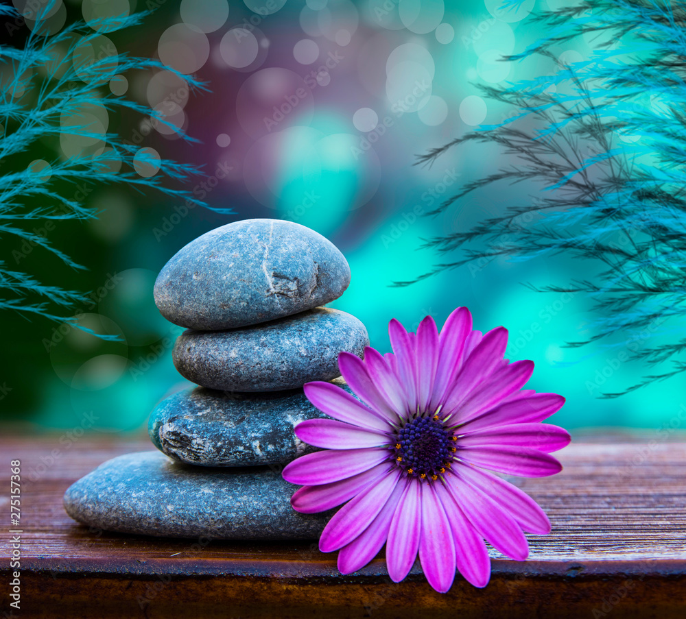 piedras y flores sobre un fondo azul relajandte foto de Stock | Adobe Stock