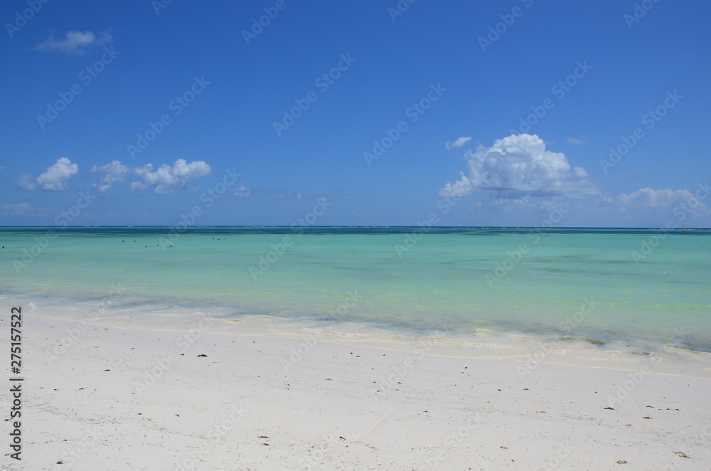 Crystal Clear Waters of Zanzibar
