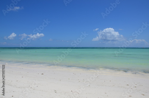 Crystal Clear Waters of Zanzibar © Daniel