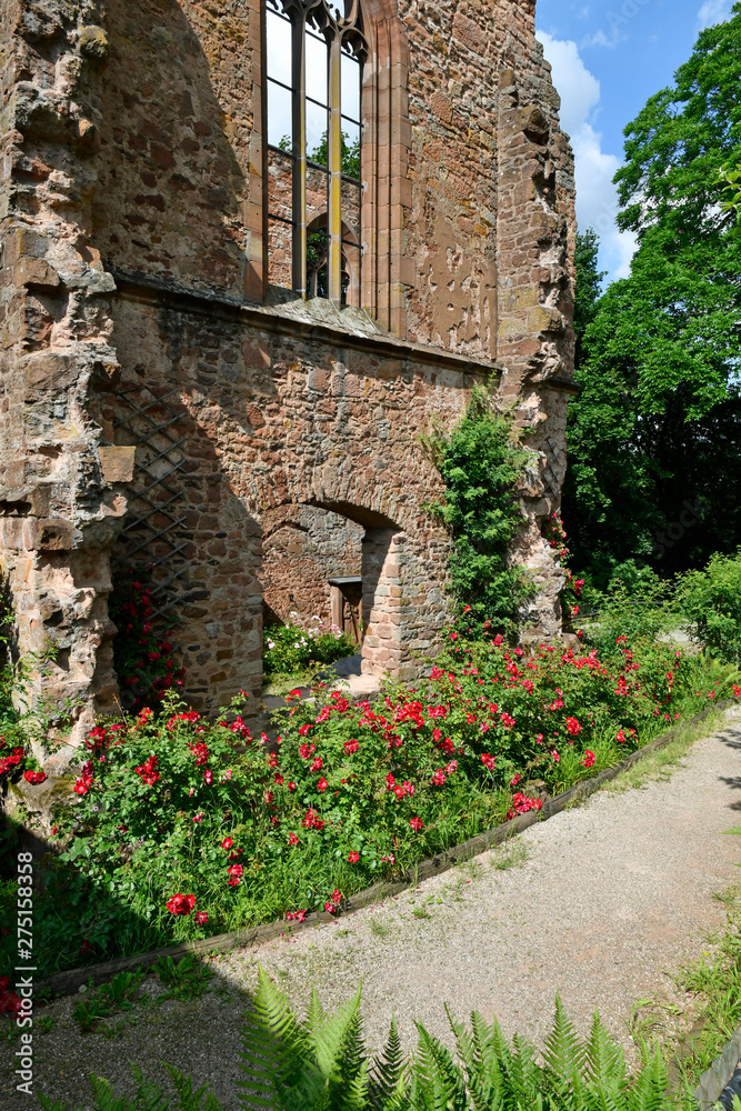 kirchenruine kloster rosenthal
