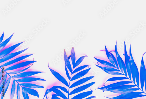 Creative colored tropical leaves on a white background. Copy space