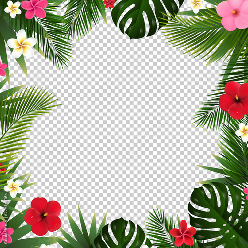 Fototapeta Naklejka Na Ścianę i Meble -  Palm Leaf And Flowers Isolated Transparent Background