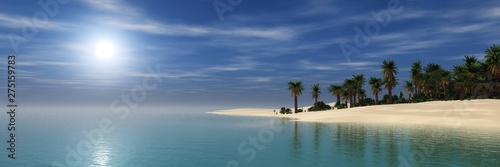 Sandy beach with palm trees, a tropical beach at sunset under a blue sky,