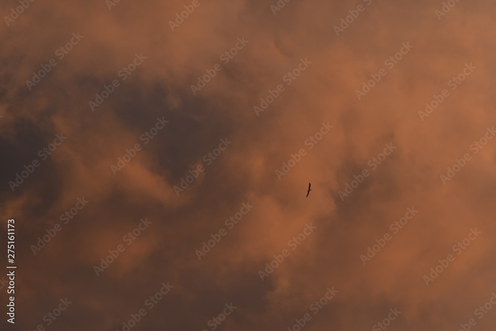 Fototapeta premium nuages dans un couché de soleil