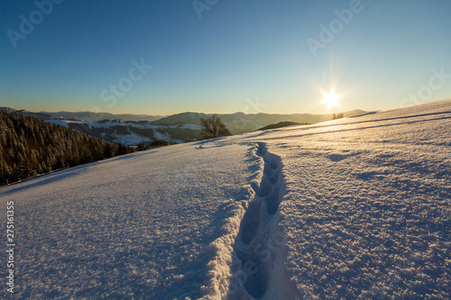 Winter Christmas landscape. Human footprint track path in crystal white deep snow through empty field, woody dark mountain range, soft glow on horizon on clear blue sky copy space background.