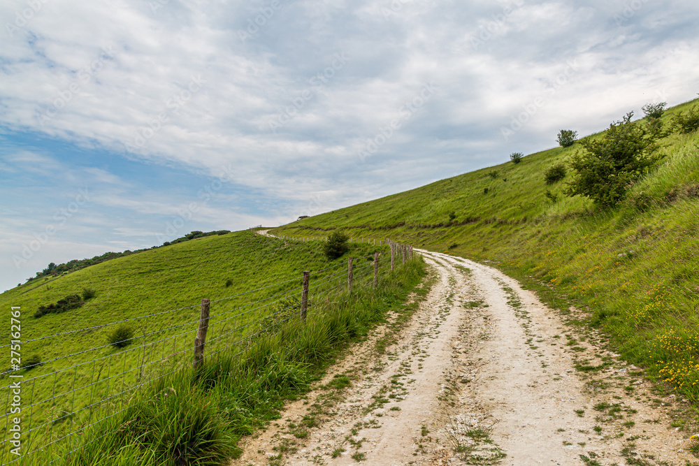 A chalk pathway leading up a green hillside in the South Downs in Sussex