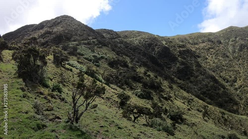 Panoramic view over beautiful, lush green hills in Serra do Topo on Sao Jorge island, Azores, Portugal