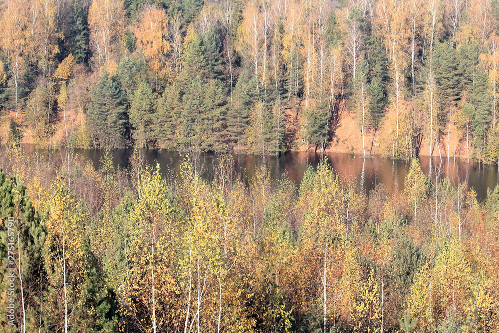 autumn landscape with river and trees