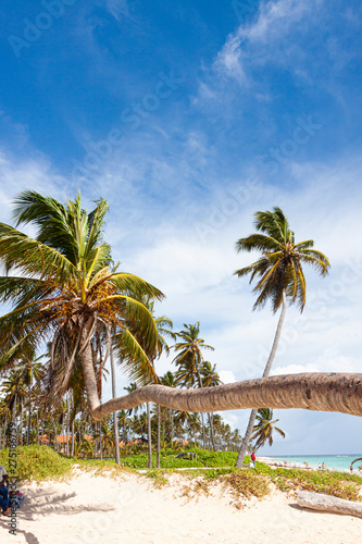DOMINICAN CARIBBEAN SEA AND PALM TREES ON THE SHORE ON BLUE SKY WITH CLOUDS