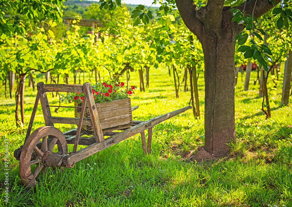 Wooden cart with flowers in the garden