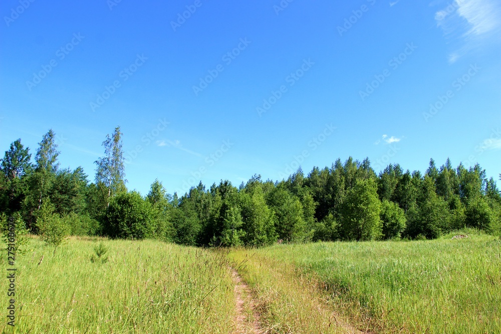 nature nature